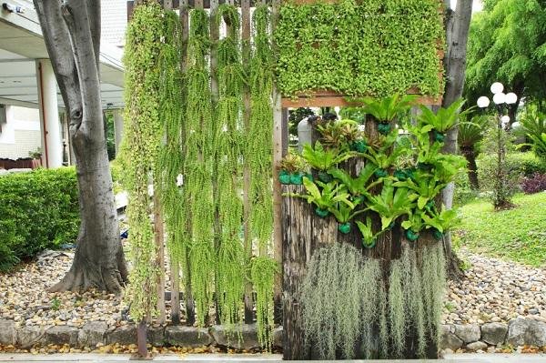 Jardín vertical con variedad de plantas decorativas