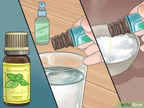 Aceites esenciales siendo diluidos correctamente en agua