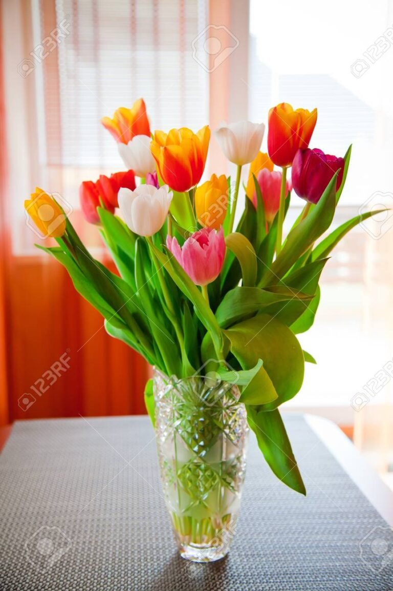 Qué día se regalan tulipanes: Tradiciones y consejos para jardineros