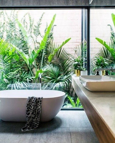 Por qué poner plantas en el baño: Beneficios y recomendaciones