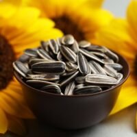 5 usos sorprendentes de la cáscara de semilla de girasol en tu jardín