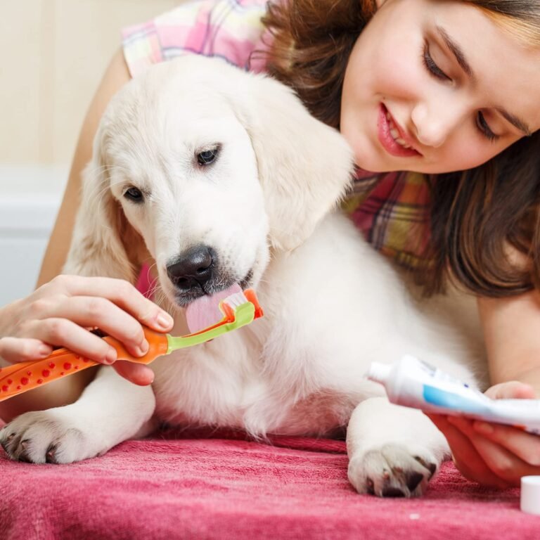 Cómo limpiar dientes de perro casero