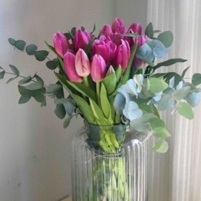 Cómo conservar los tulipanes una vez cortados