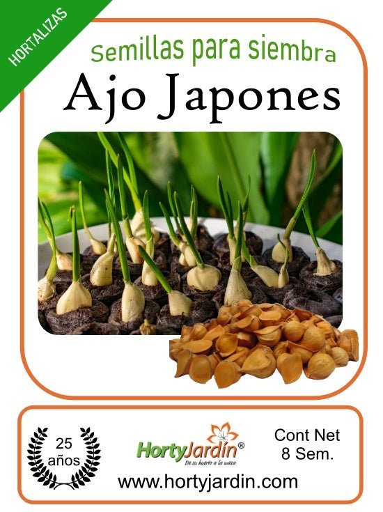 Cómo cultivar ajo japonés en casa
