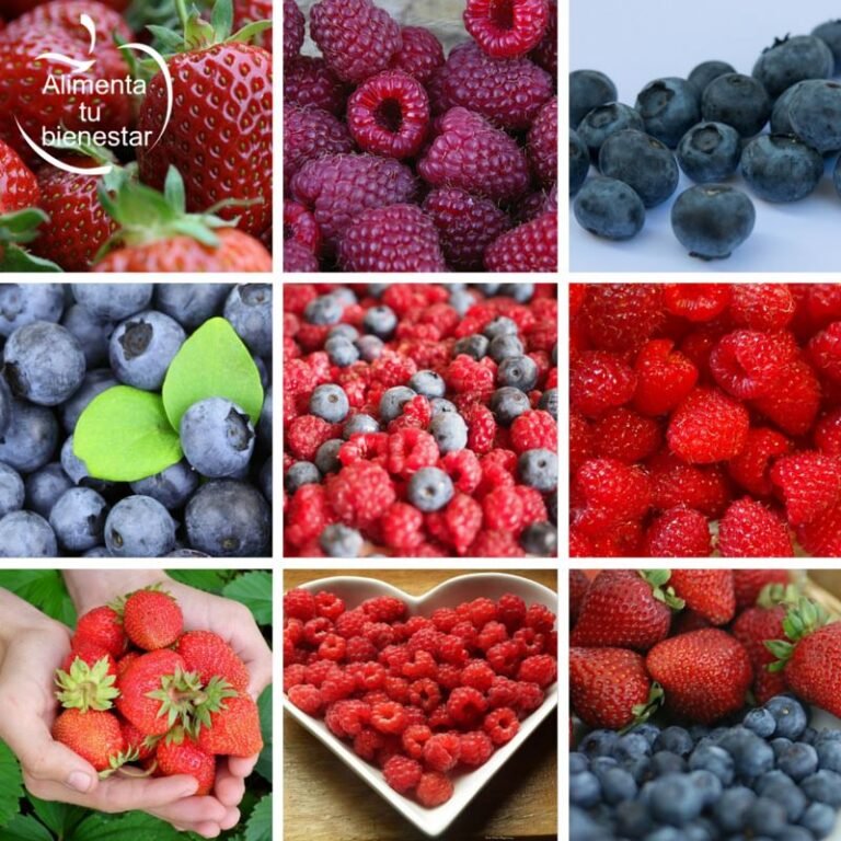 Qué frutas pertenecen a los frutos rojos
