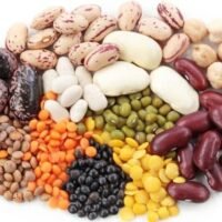 How-to-Maintain-Quality-in-Dried-Bean-Processing-and-Distribution-1