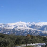 Nevadawikipedia