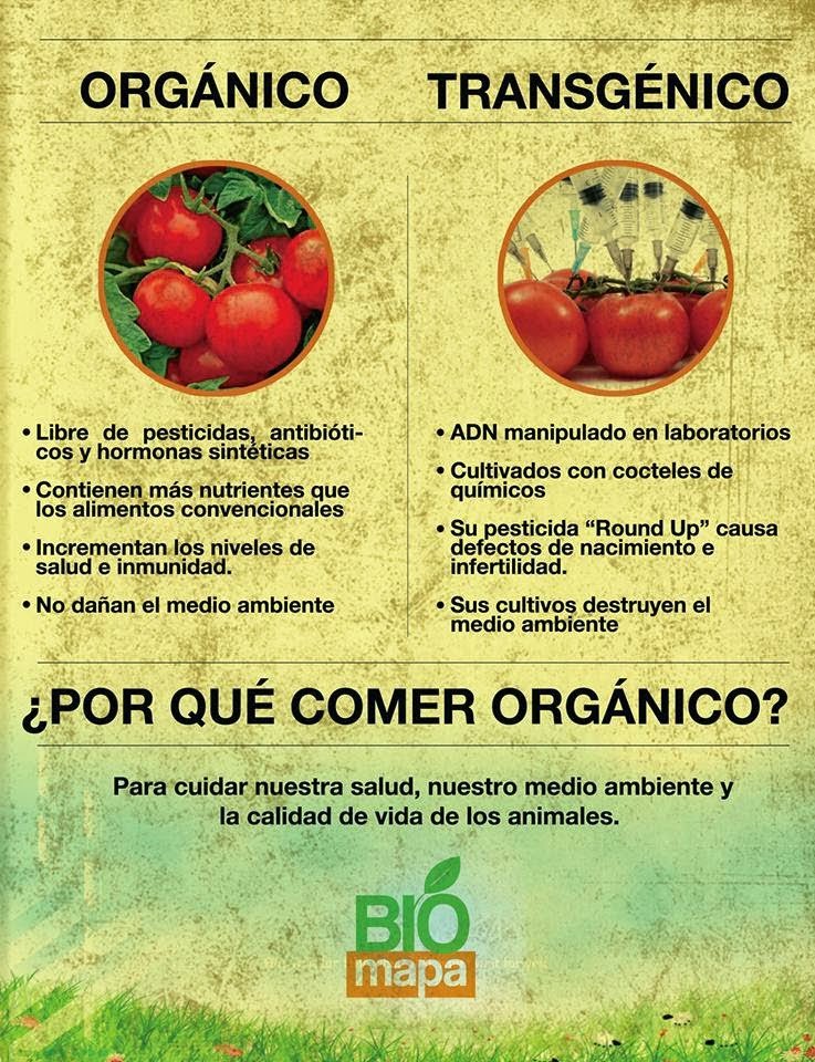 Cuál es la diferencia entre alimentos orgánicos e inorgánicos