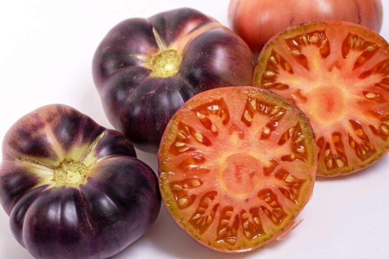Cómo es el tomate mar azul: Un exótico fruto para tu jardín