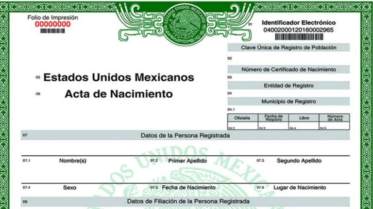 Cómo es el formato del acta de nacimiento actualizada en México