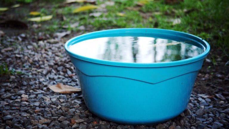 Cómo almacenar agua para riego: Guía práctica para jardineros
