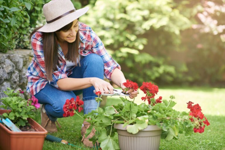 Que regalar en vez de flores: Ideas creativas para amantes de la jardinería