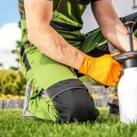 aplicar-fungicida-cobre