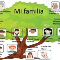 arbol-genealogico-con-diferentes-apellidos-familiares