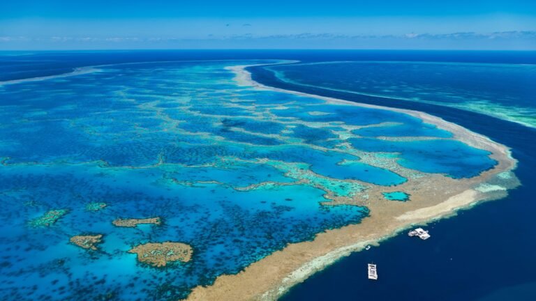 Qué es la Gran Barrera de Coral en Australia y por qué es importante