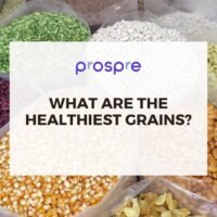article-title-in-front-of-various-grains