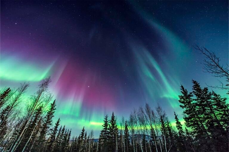Dónde reservar un viaje todo incluido para ver la aurora boreal