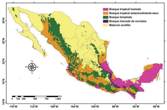 Qué leyes existen para la protección del medio ambiente en México