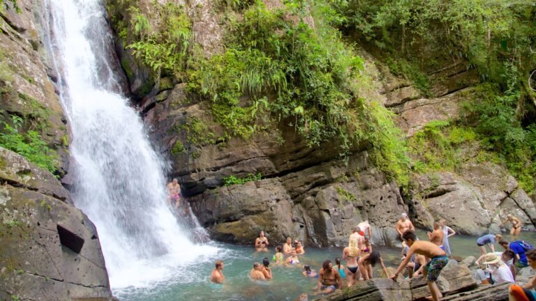 Qué hacer en El Yunque National Forest en Puerto Rico