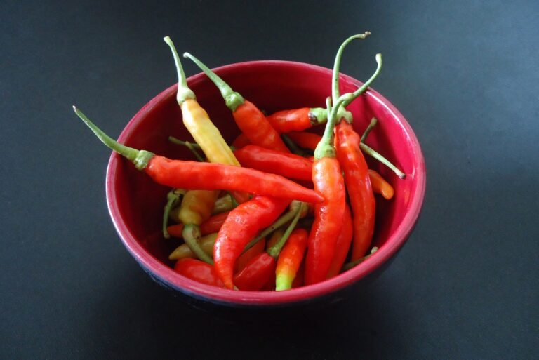 Qué es salsa de chile fresco: incorporándola en tu jardín