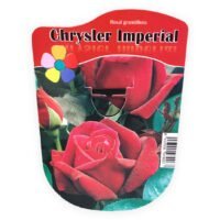chrysler-imperial-rosal