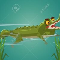 cocodrilo-feliz-nadando-en-el-agua