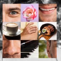 collage-cinco-sentidos-piano_23-2150009306