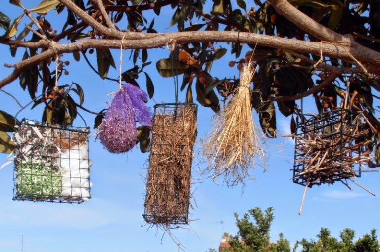 Cómo hace un pajarito su nido: Un fascinante proceso natural en tu jardín