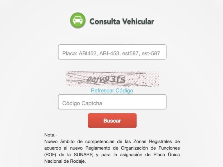 Cómo puedo conocer los datos de un vehículo en México
