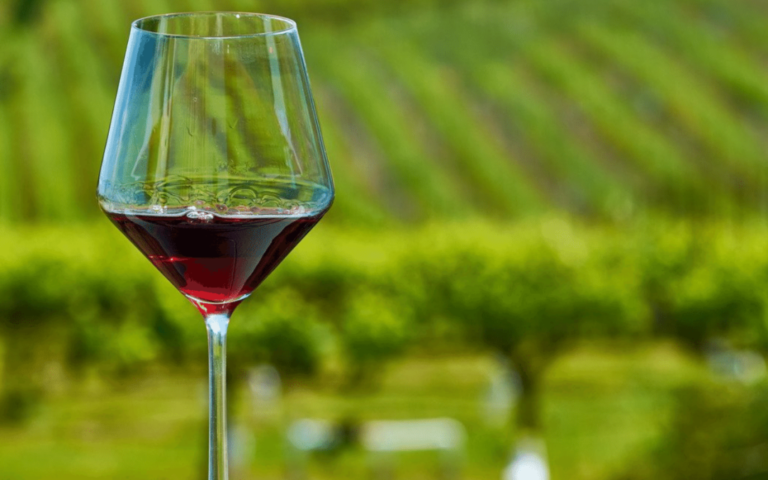 Cómo afecta una copa de vino al estado de ánimo