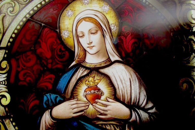 Cómo cuidar un Corazón de María: Guía completa para su óptimo crecimiento