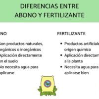 cual-es-la-diferencia-entre-un-fertilizante-y-un-abono