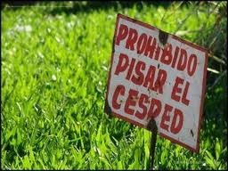 ¿Cuándo se puede pisar el césped?