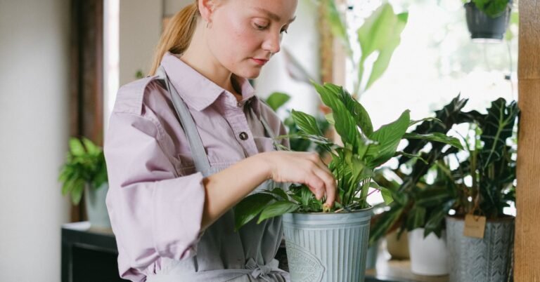 Por qué es importante cuidar de las plantas