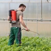 Cómo funciona una mochila fumigadora d9292315f3