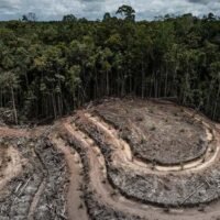 deforestacion-en-selvas-tropicales-de-mexico