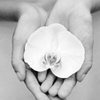 depositphotos_79457140-stock-photo-woman-hands-holding-an-orchid