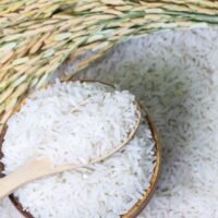 Descubre cómo el arroz puede mejorar el crecimiento de tus plantas en el jardín.