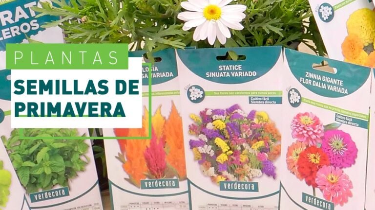 Descubre cómo obtener semillas de tus flores y cultivarlas fácilmente en casa