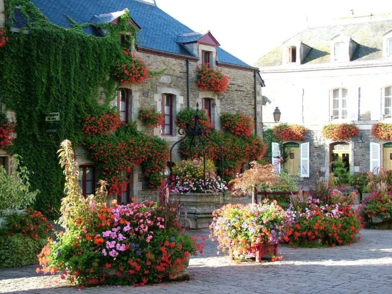 Descubre cuál es el país con la mayor producción de rosas en el mundo: ¡Una guía para los amantes de la jardinería!
