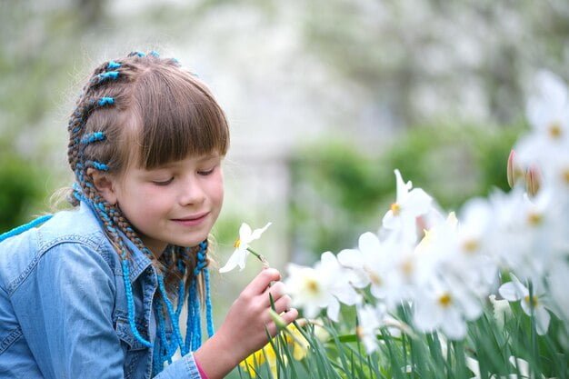 Descubre el dulce aroma de los narcisos en tu jardín