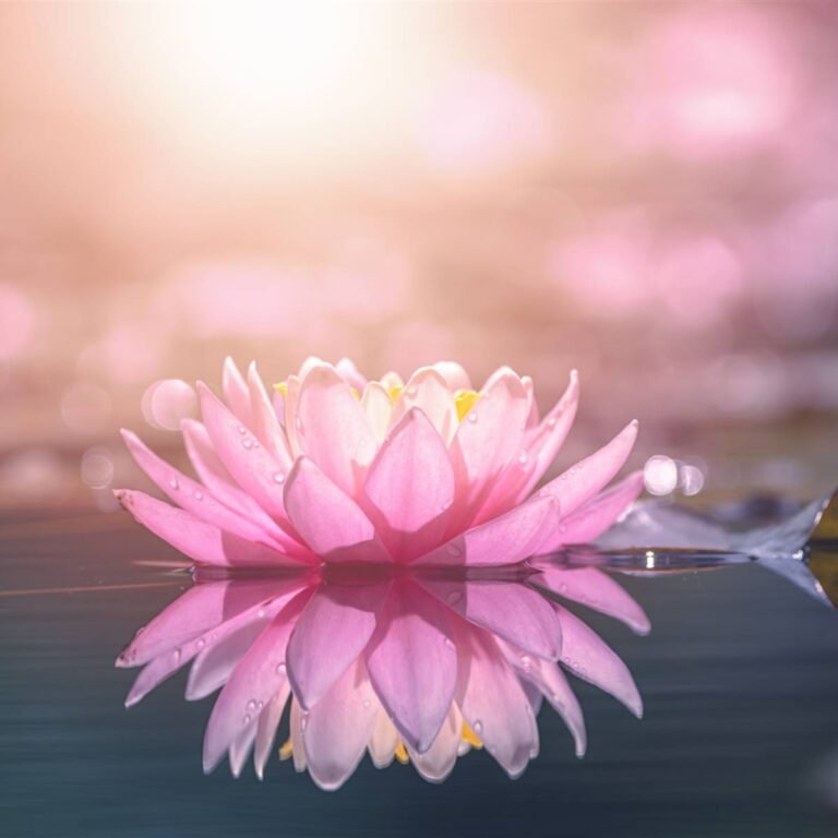 Descubre el maravilloso poder de la flor de loto en tu jardín