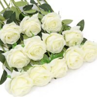 descubre-el-precio-de-un-hermoso-ramo-de-100-rosas-blancas-para-decorar-tu-jardin
