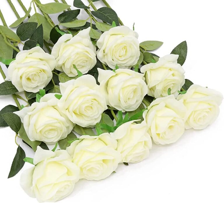Descubre el precio de un hermoso ramo de 100 rosas blancas para decorar tu jardín