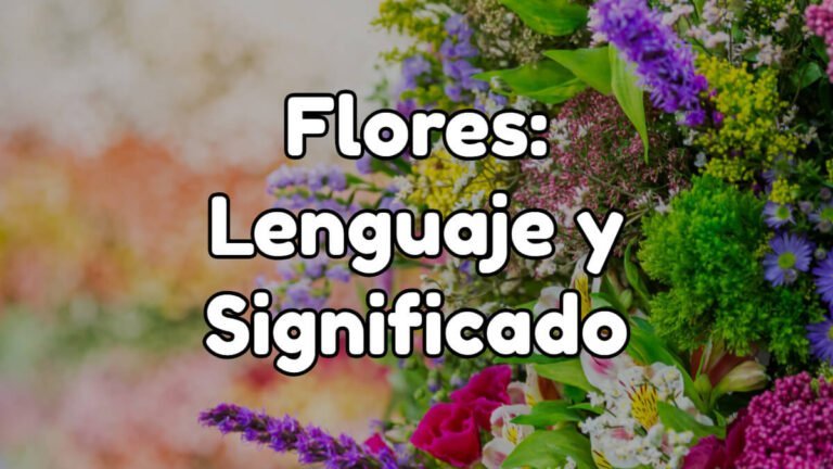 Descubre el significado detrás de cada flor: ¿Cuál es el lenguaje de las flores?