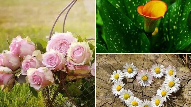 Descubre el significado detrás de la flor que simboliza la vida en la jardinería