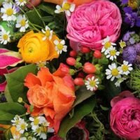 Descubre el significado simbólico de las flores de 3 pétalos en la jardinería