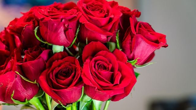 Descubre la flor ideal para regalar en el Día de la Madre