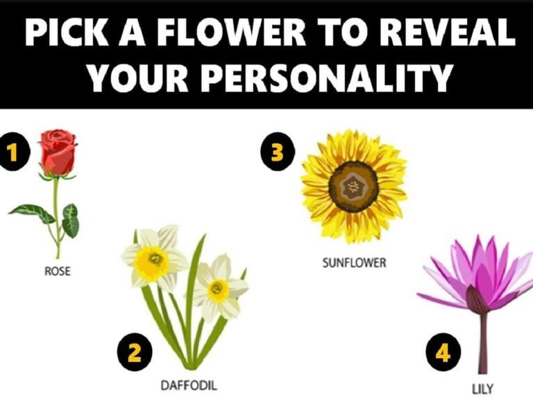 Descubre qué tipo de flor eres: identifica las plantas que reflejan tu personalidad