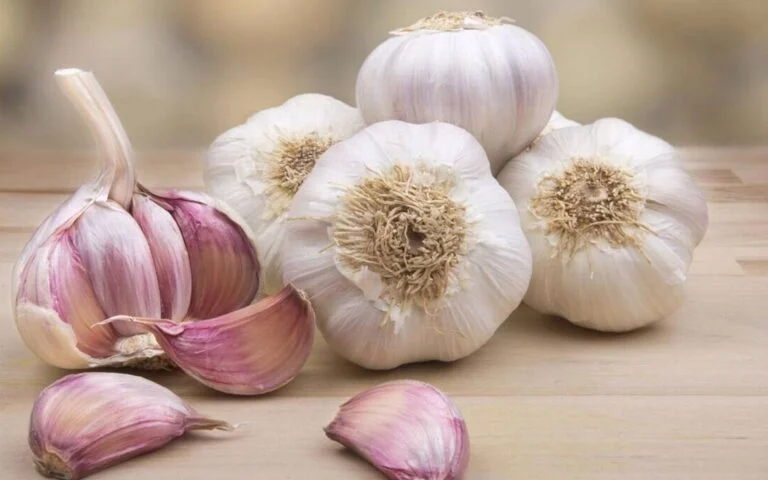 Qué le hace el ajo a las plantas: Beneficios y usos en jardinería